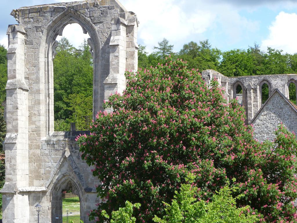 Ferienwohnungen Klosterblick Walkenried Extérieur photo