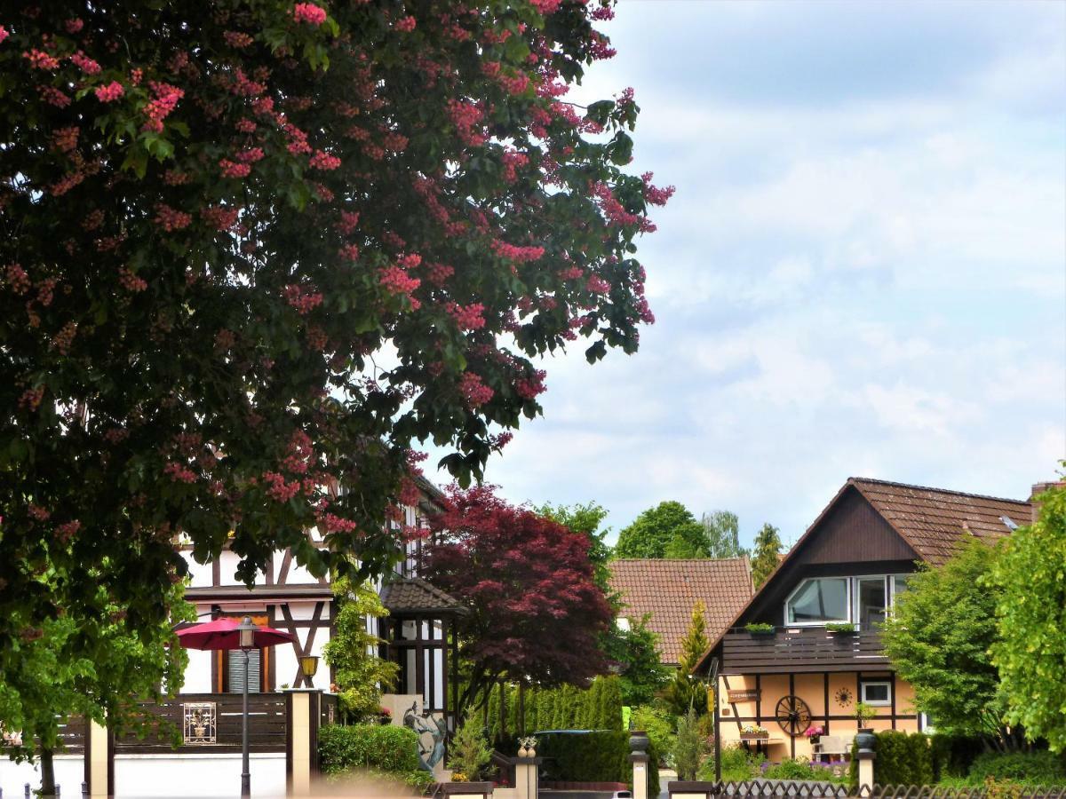 Ferienwohnungen Klosterblick Walkenried Extérieur photo
